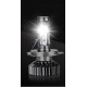 Комплект автомобільних LED ламп F2 H4 ZES MINI