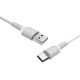 Кабель USB - Type-C Borofone BX16 Easy