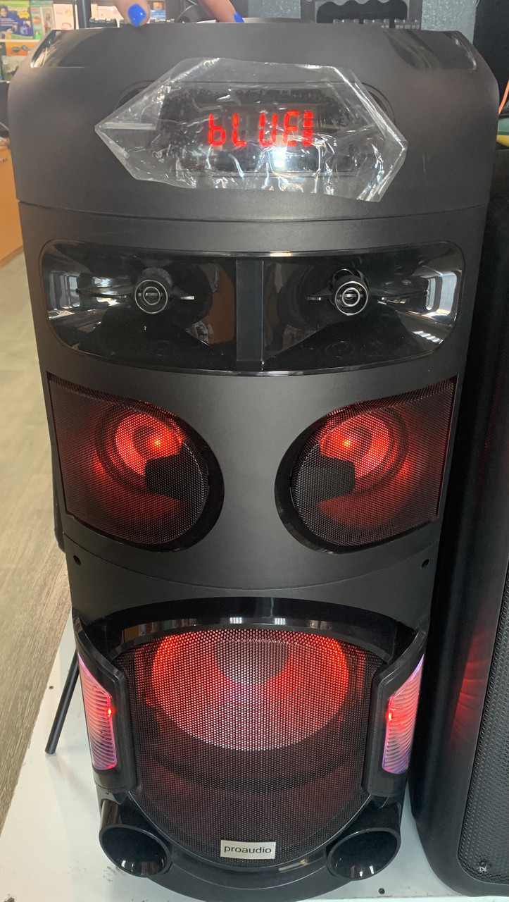 Потужна акустична система на акумуляторі з мікрофонами PRO AUDIO SN28 Bluetooth, фото 3